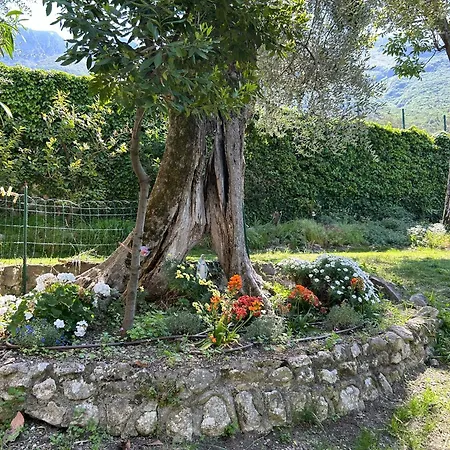 Modena * Brenzone sul Garda